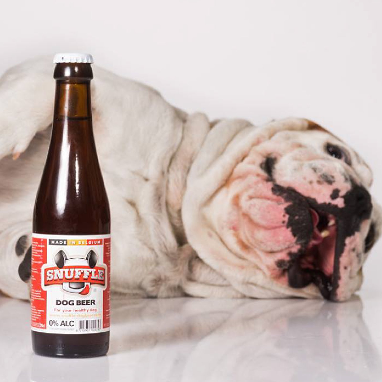 Mixed Dog Beer 4 Pack Bottles