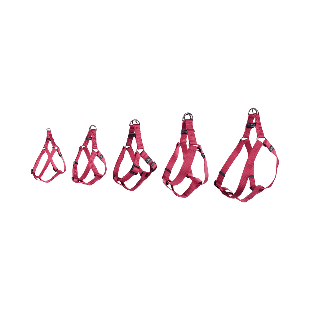 Harness Step&Go Ziggi Cherry Red