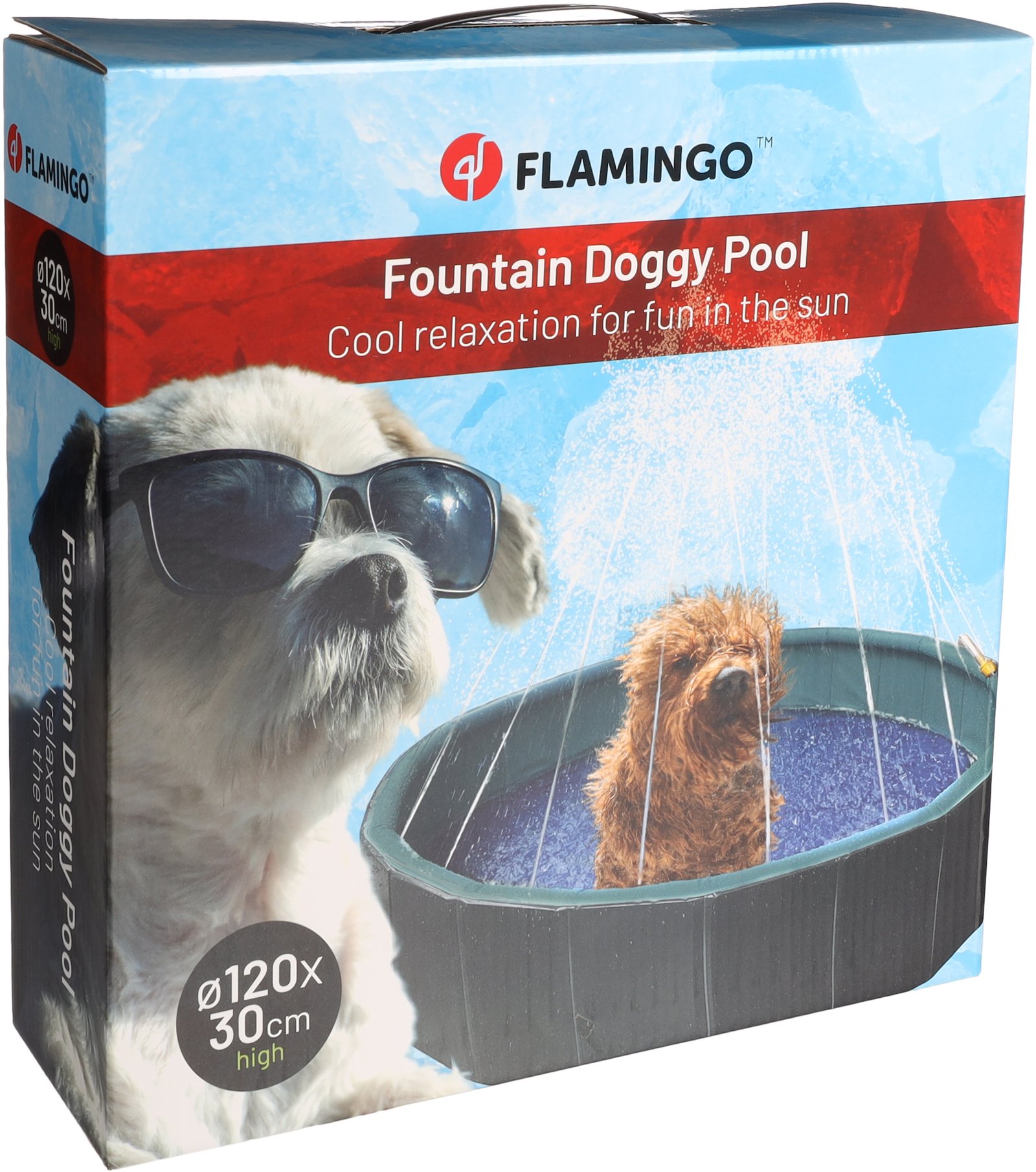 Fountain Doggy Pool