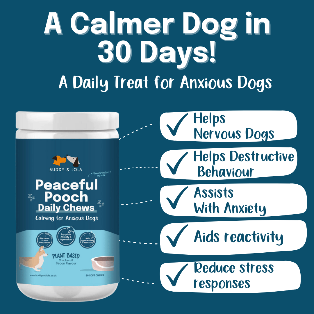 Peaceful Pooch Calming chews
