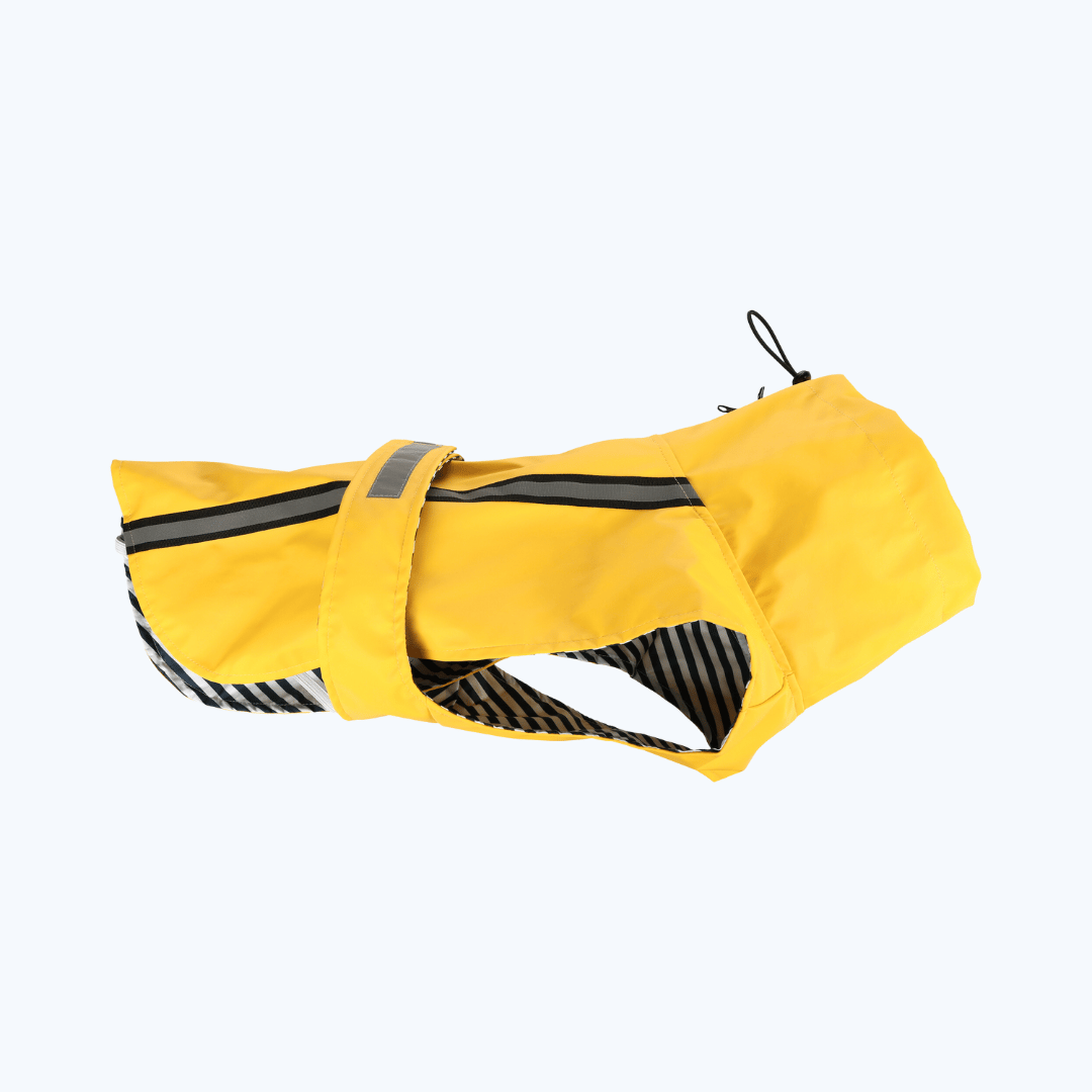 Raincoat Ciro Yellow
