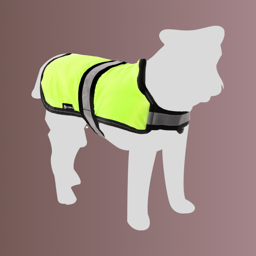 Winter coat Eisbär Fluo Yellow