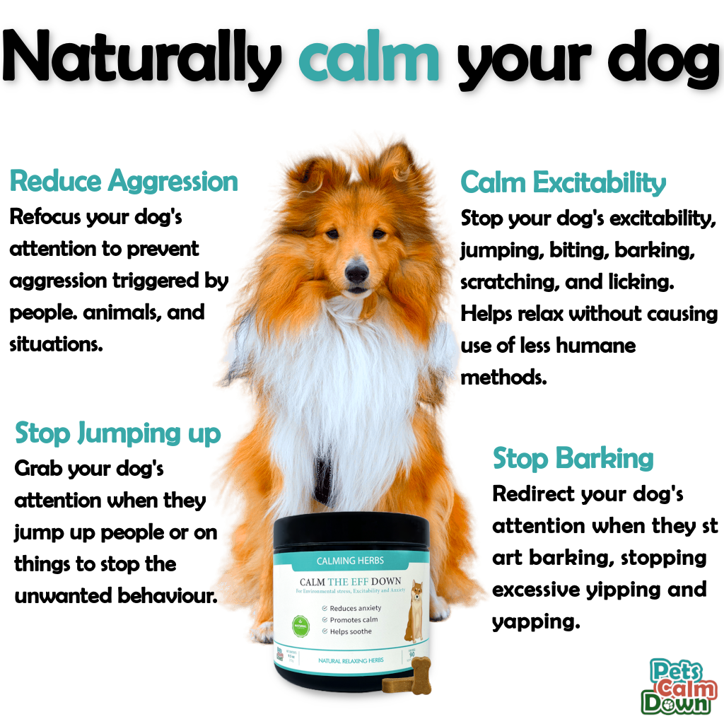 Calm the eff down Down Instant