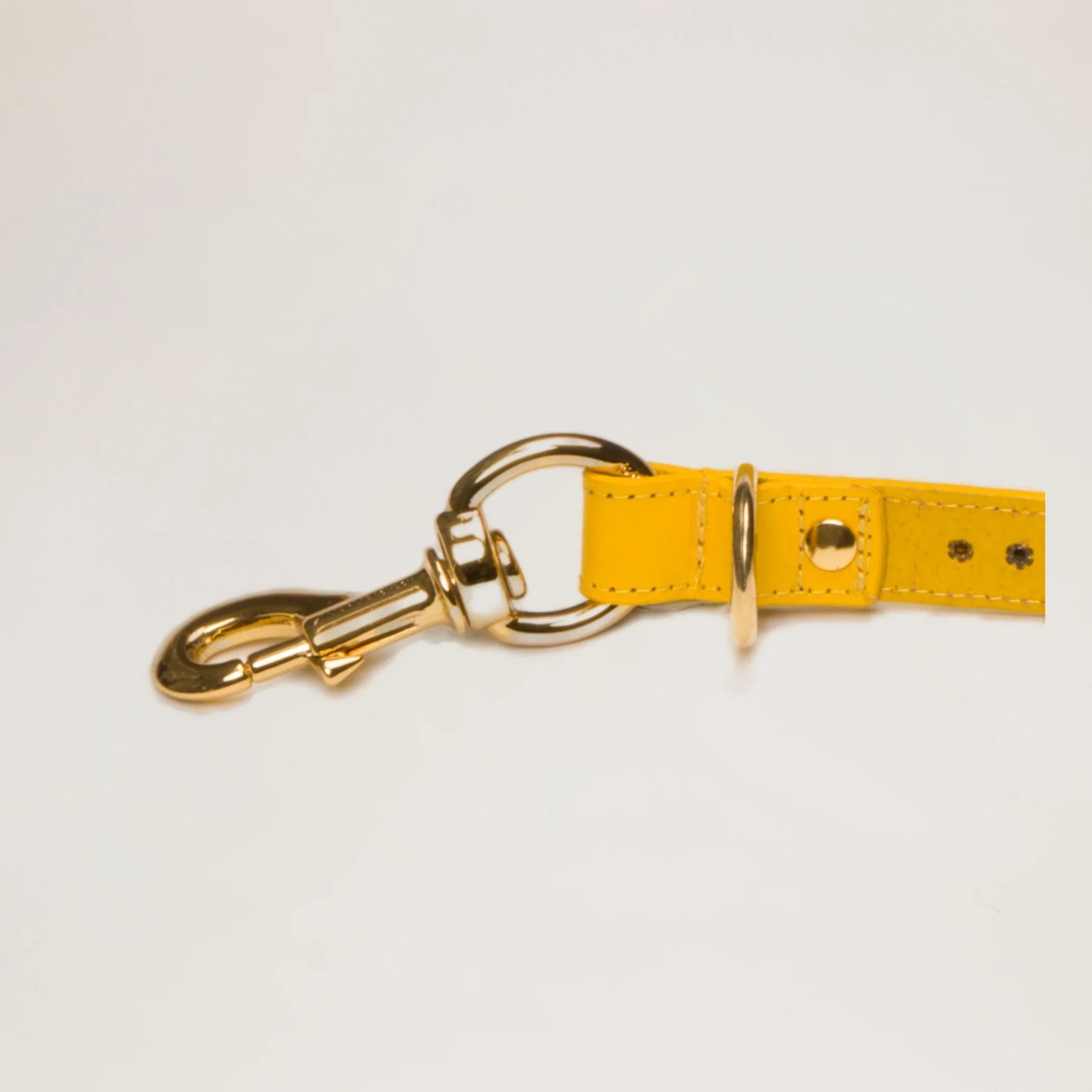 Luxury Leather Mustard Lead With Dome