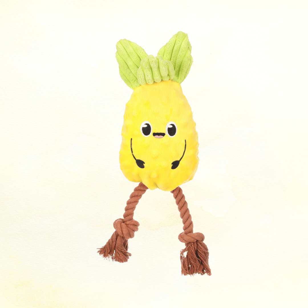 Toy Bubto Pineapple with Rope