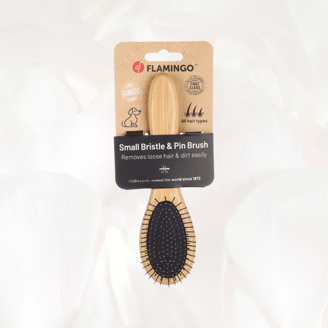 Brush & Pin Brush Babu