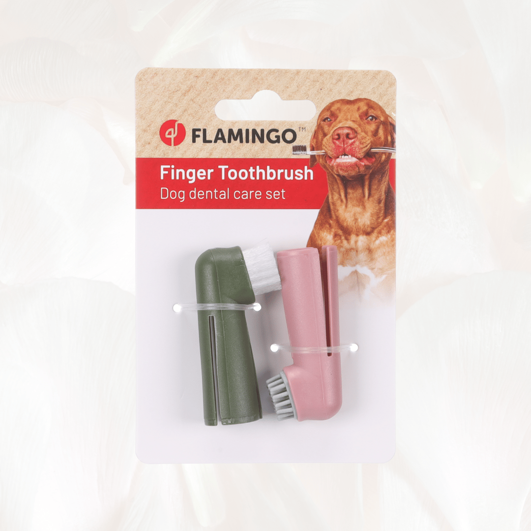 Finger Toothbrush Dentes