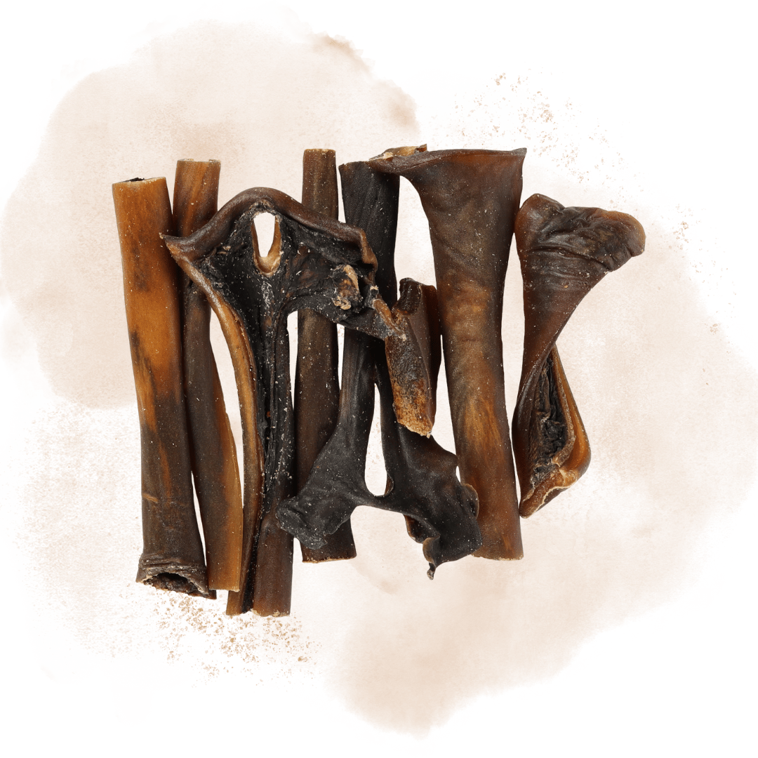 Snacks Nature Camel Skin