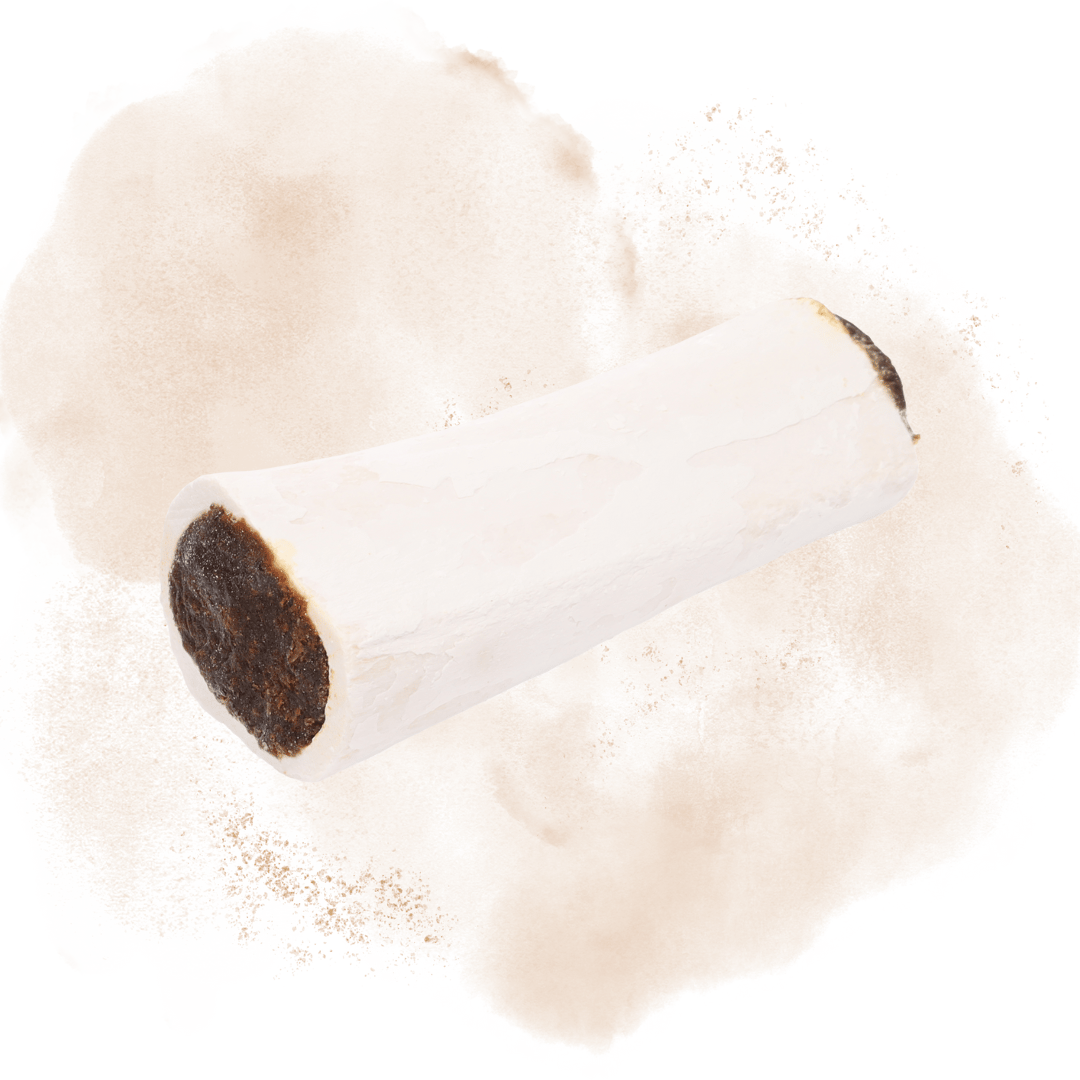 Snacks Nature Buffalo Calcium Bone with Lung