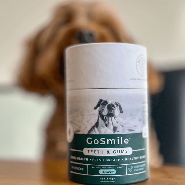 GoSmile - Chicken - 14 Dental Sticks