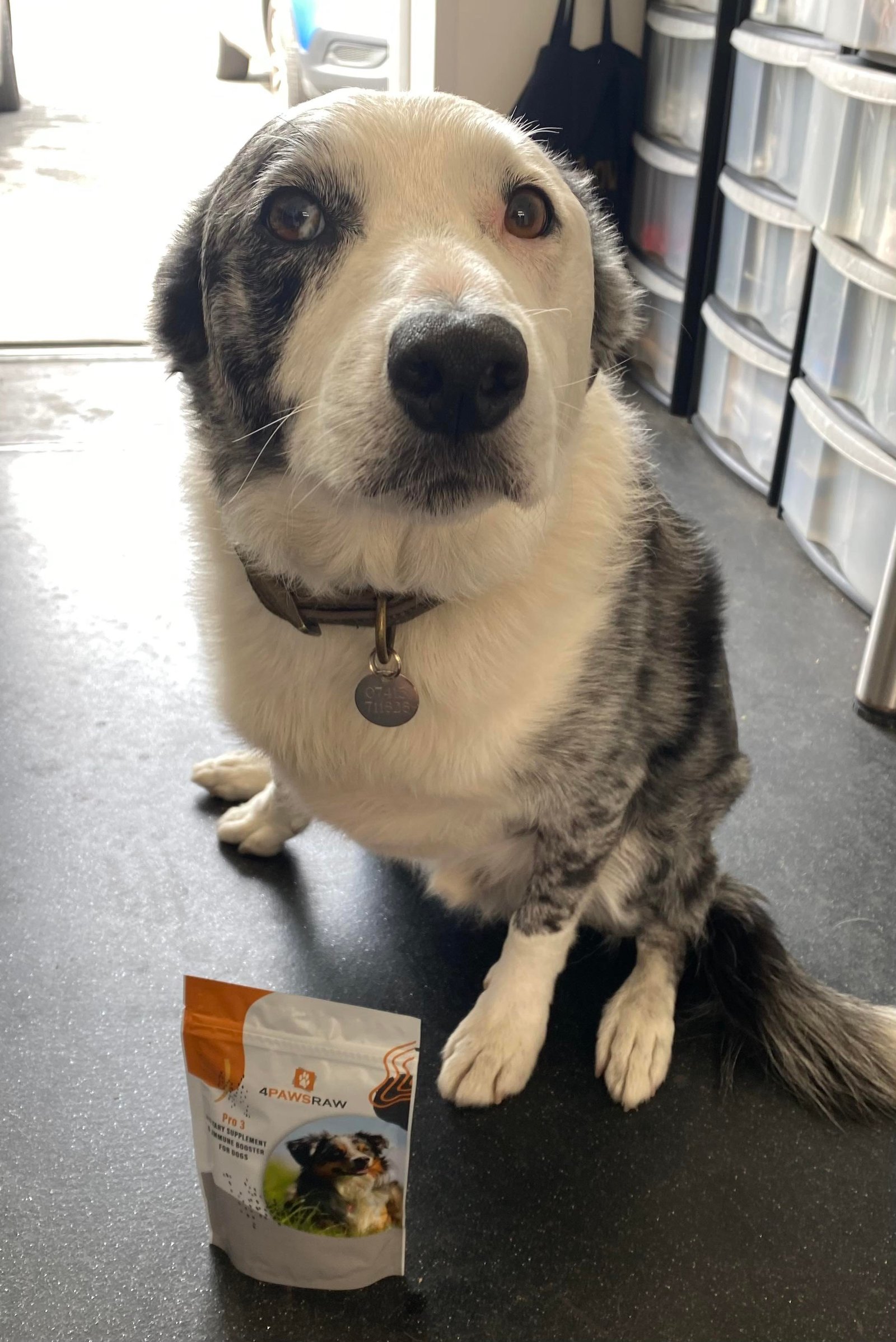 Pro3 Mix Immune Booster