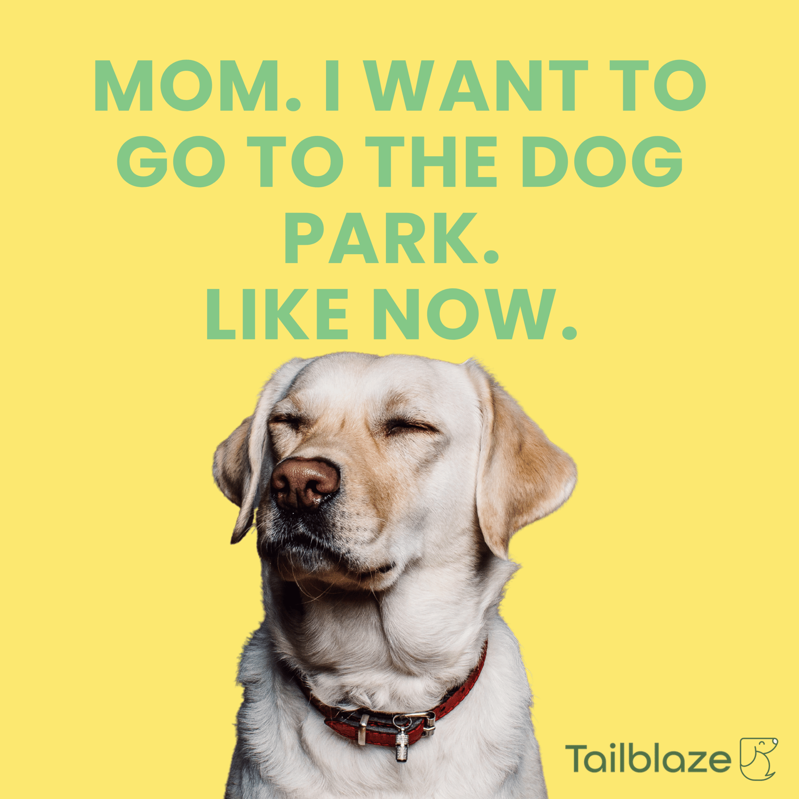 Tailblaze Mobile App