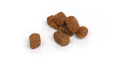 Cold pressed Turkey & Carrot 80 gr.