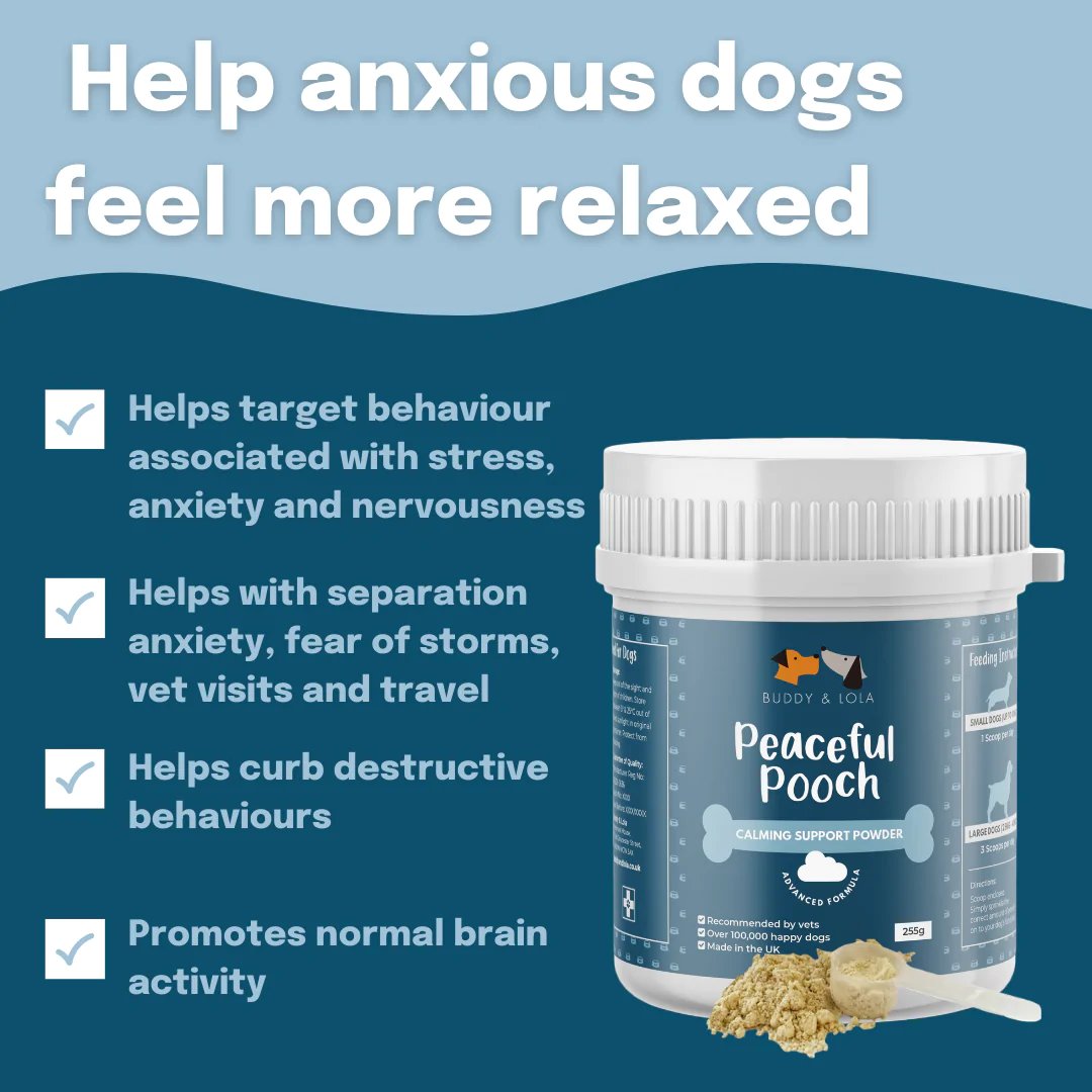 Calming support for dogs