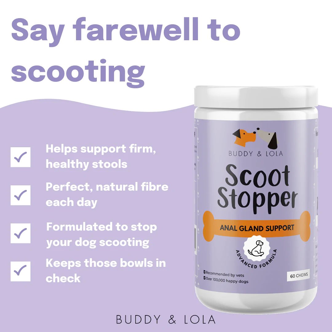 Anal gland support for dogs