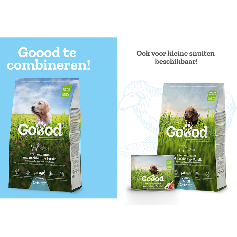 Junior wet food | Lamb & Trout