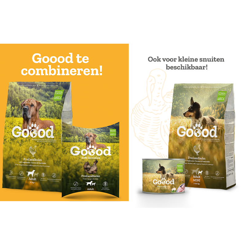 Wet food | Free range turkey