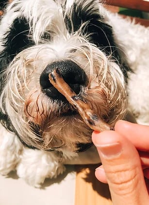 Blueberry good breath jerky