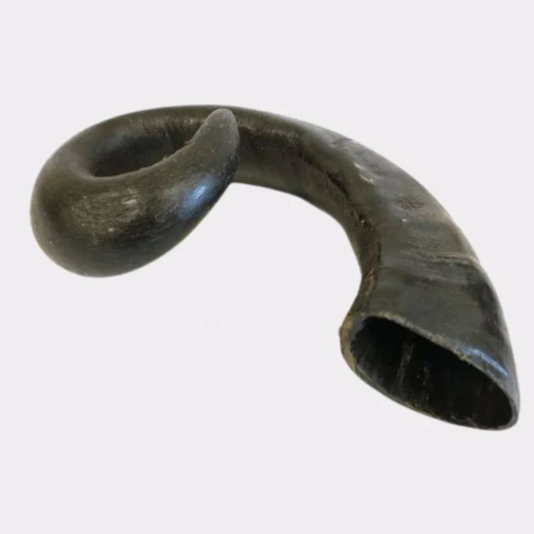 Buffalo Horn
