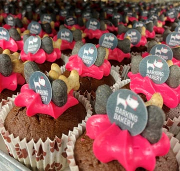 Carob Woofin with Pink Frosting