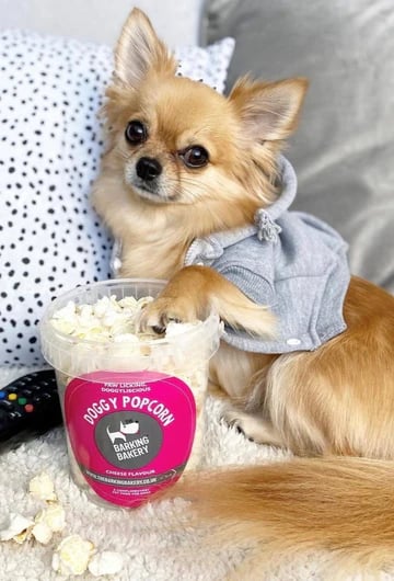 Doggy Cheesey Pupcorn Tub