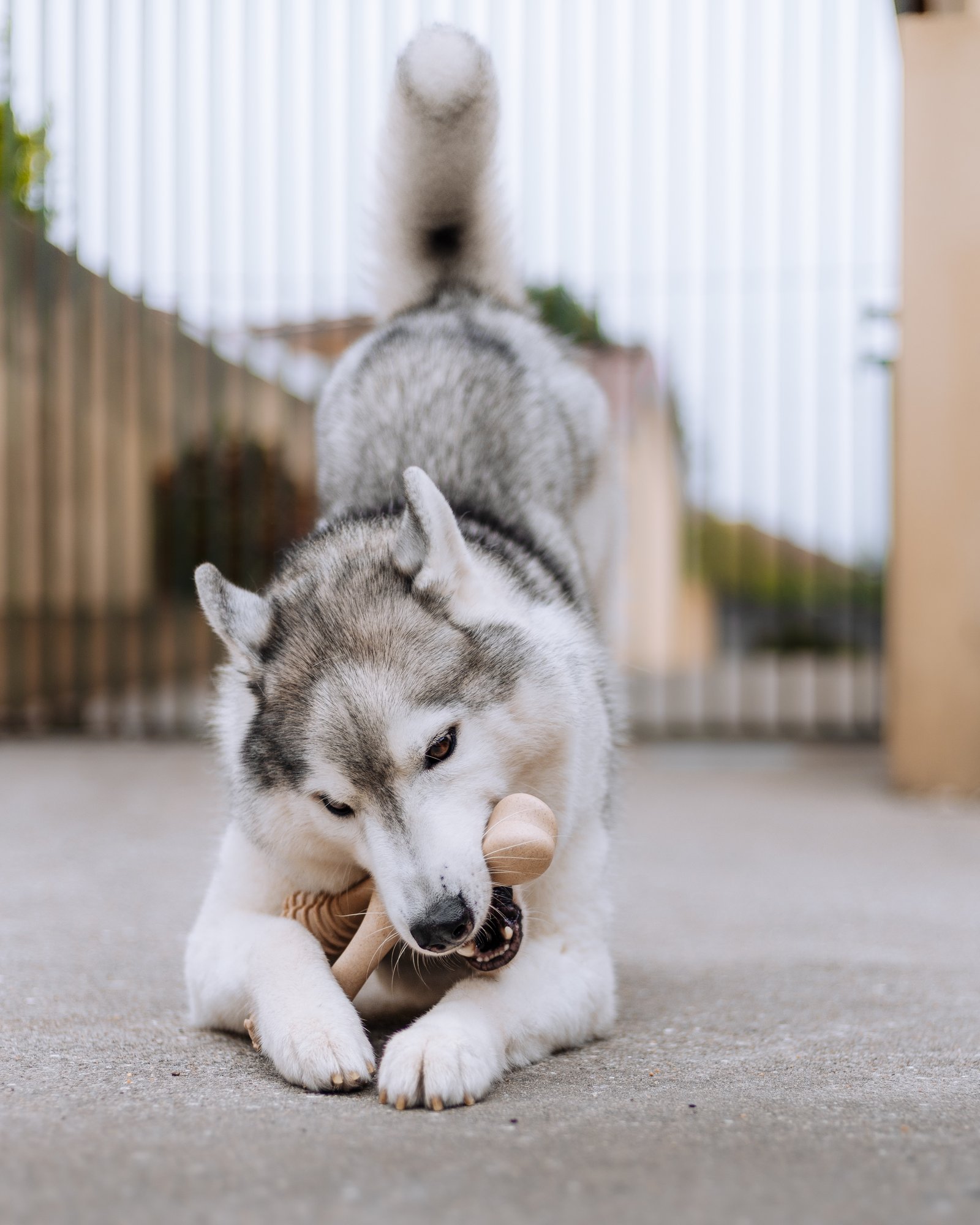 BetterBone campaign hero