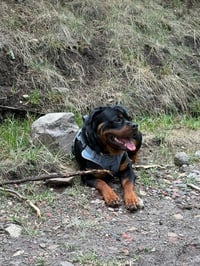 Hunter