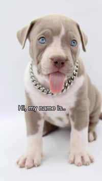 Kali