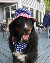 Rex