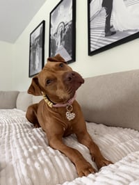 Ruby