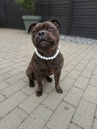 Kona