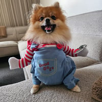 Teddy