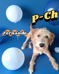 Fernando