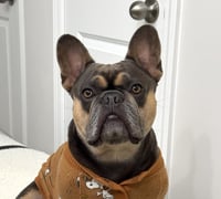 Murphy