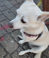Peggy