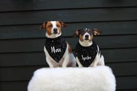 Max en Spike