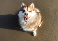 Charlie