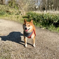 Mika