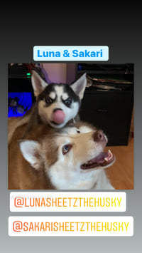 Luna and Sakari