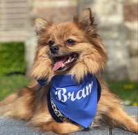 Bram