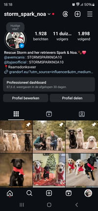Storm, Spark & Noa