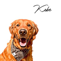 Kobe