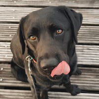 Nora