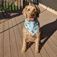 Baxter