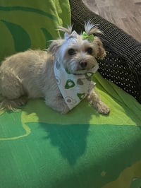 Tinkerbell Williams