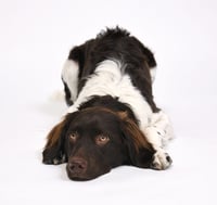 Kumba