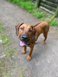 Odin