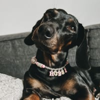 Hubsi
