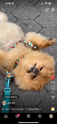 Leo