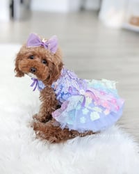 Chiffon